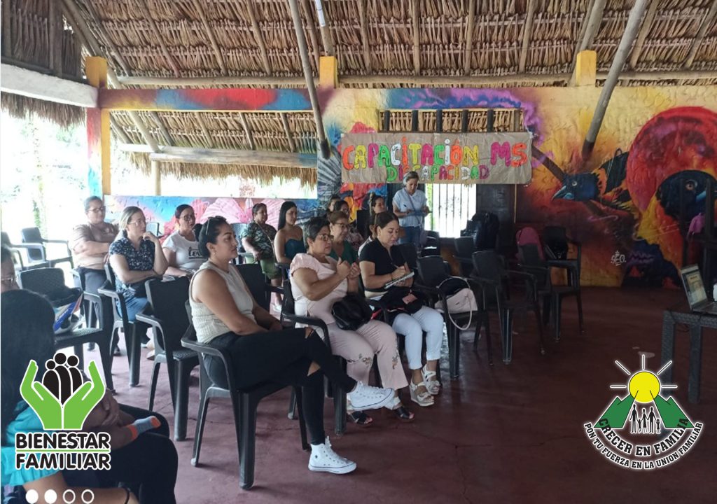 CAPACITAN A MADRES SUSTITUTAS EN REGIONAL META DE LA ONG CRECER EN FAMILIA